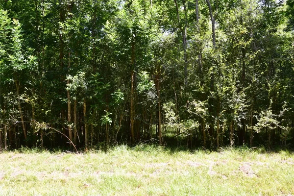 $137,000 | 0 Colony Drive, Angleton, TX 77515