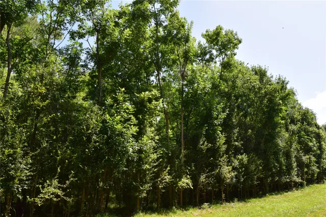 $137,000 | 0 Colony Drive, Angleton, TX 77515