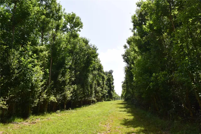 $137,000 | 0 Colony Drive, Angleton, TX 77515