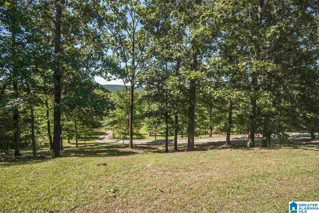 901 Hidden Ridge Chelsea, AL 35043 - Photo 33 of 34 Gallery Image 33