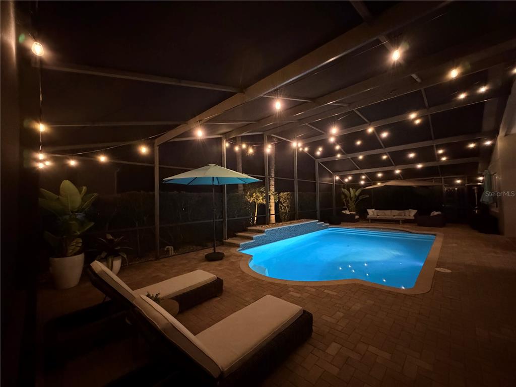 2730 Manning Drive Trinity, FL 34655 - Photo 38 of 43