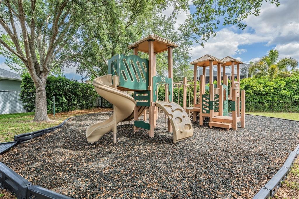 2730 Manning Drive Trinity, FL 34655 - Photo 43 of 43 a view of outdoor space yard and patio