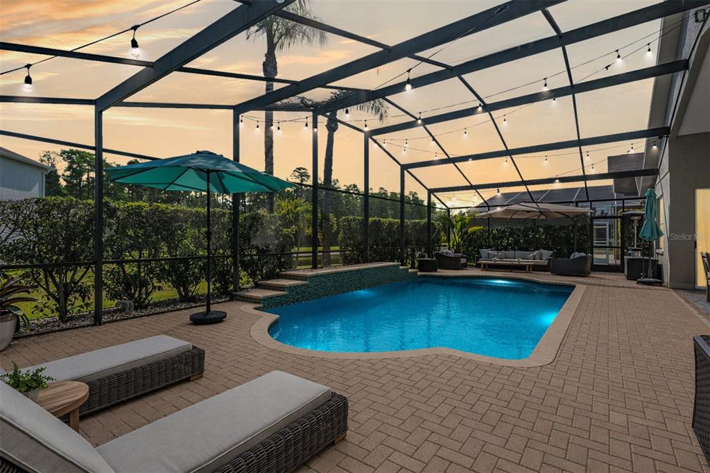 2730 Manning Drive Trinity, FL 34655 - Photo 5 of 43 a view of a swimming pool with a patio