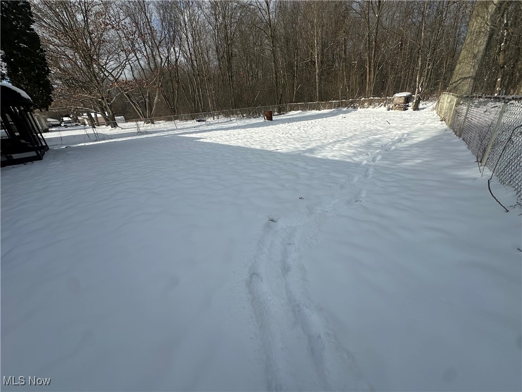 603 Liberty Road Youngstown, OH 44505 - Photo 42 of 42 Snowy yard with a view of trees