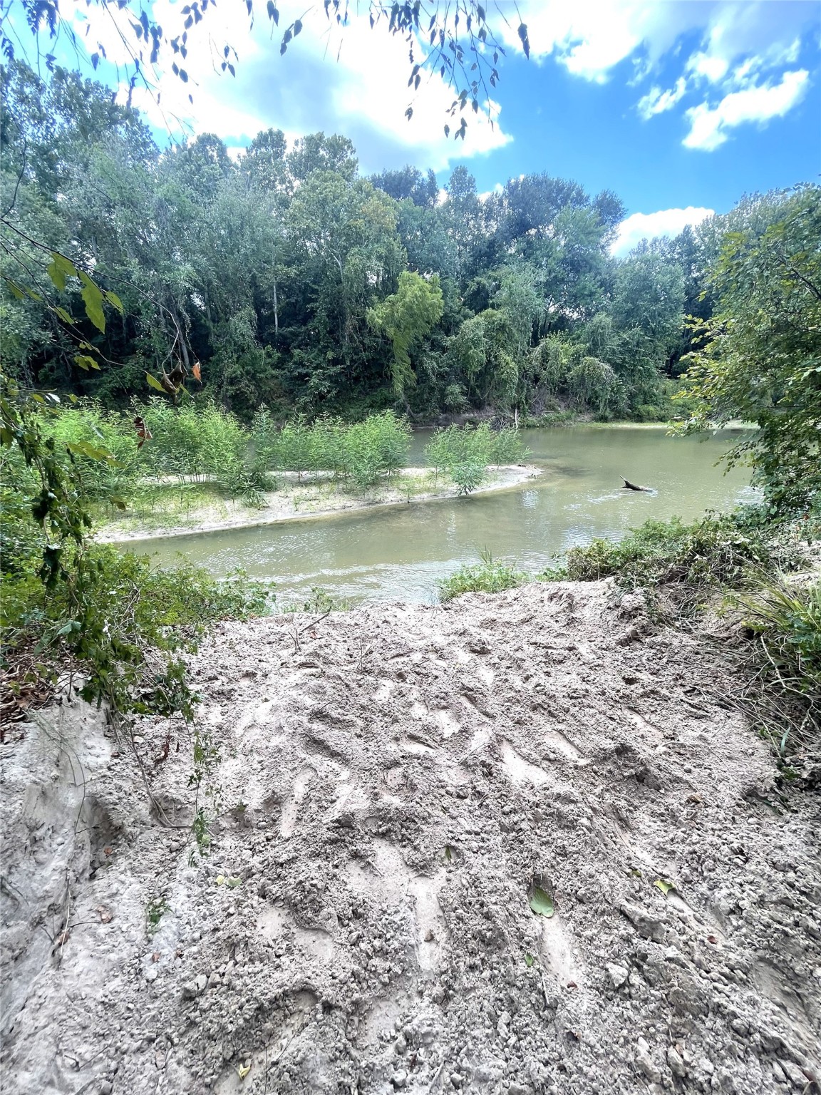 a view of a green field with a tree