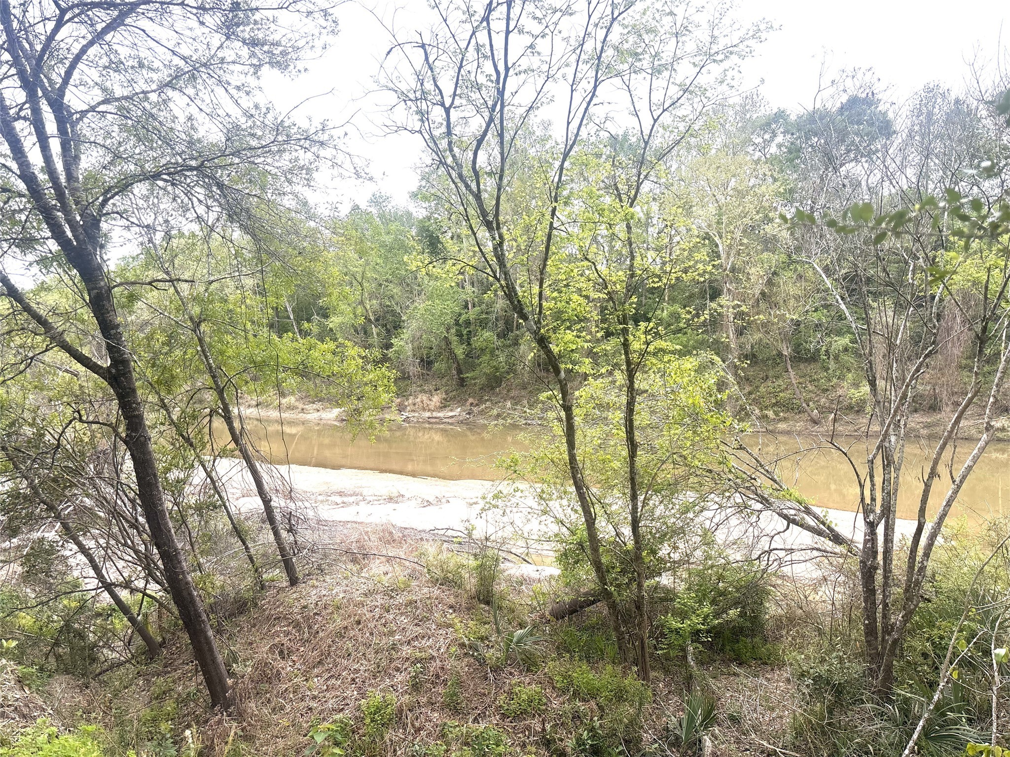 0 Redbud Drive Conroe, TX 77302 - Photo 2 of 7 a view of yard from a house