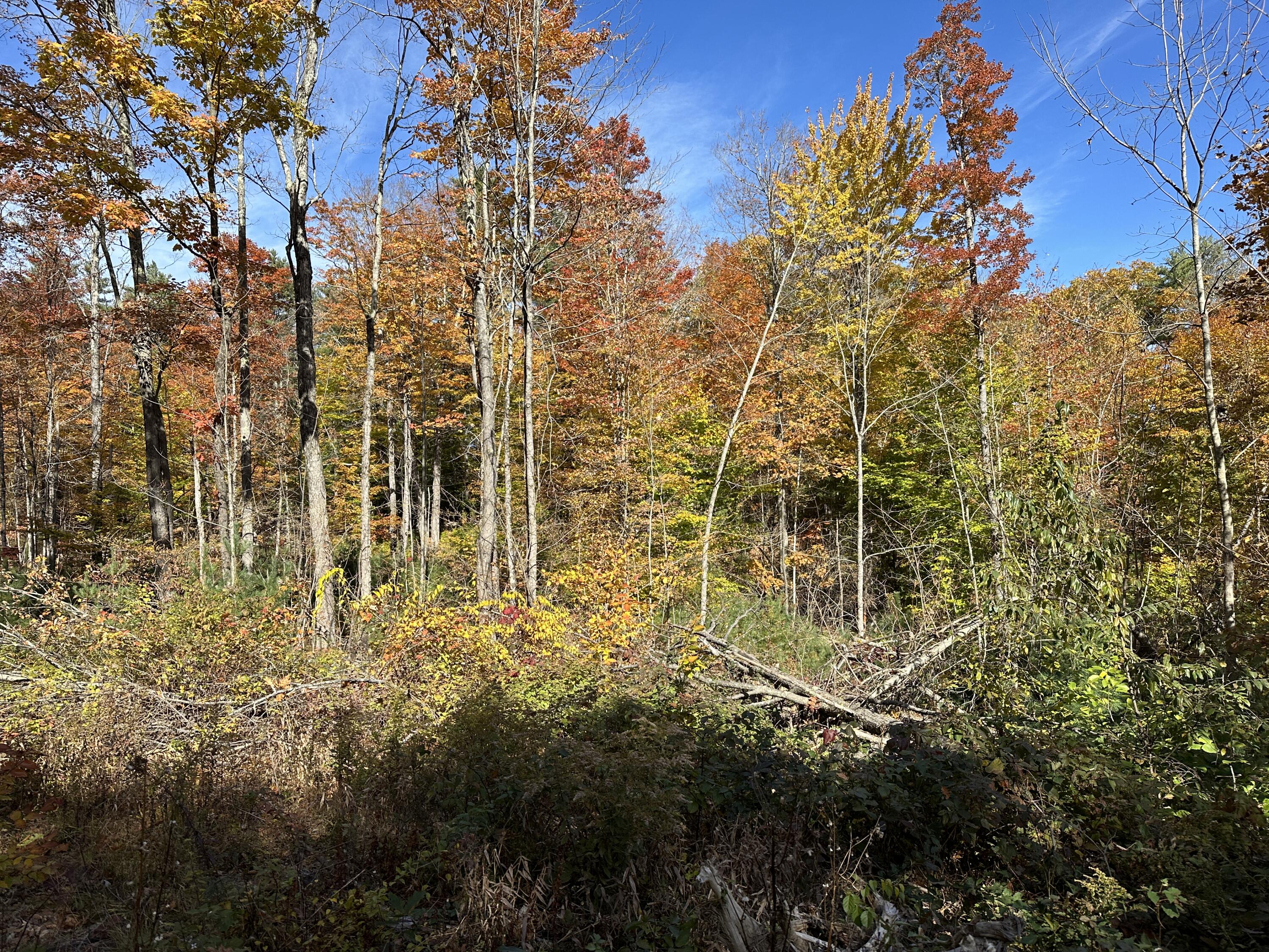 Lot 46 Acton Ridge Road Acton, ME 04001 - Photo 7 of 22 IMG_1971