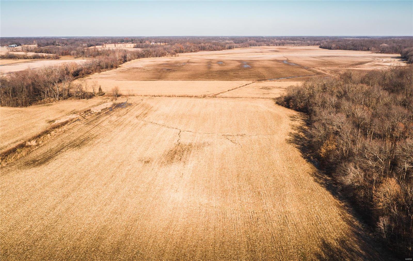 8809 Wieseman Road Worden, IL 62097 - Photo 22 of 24