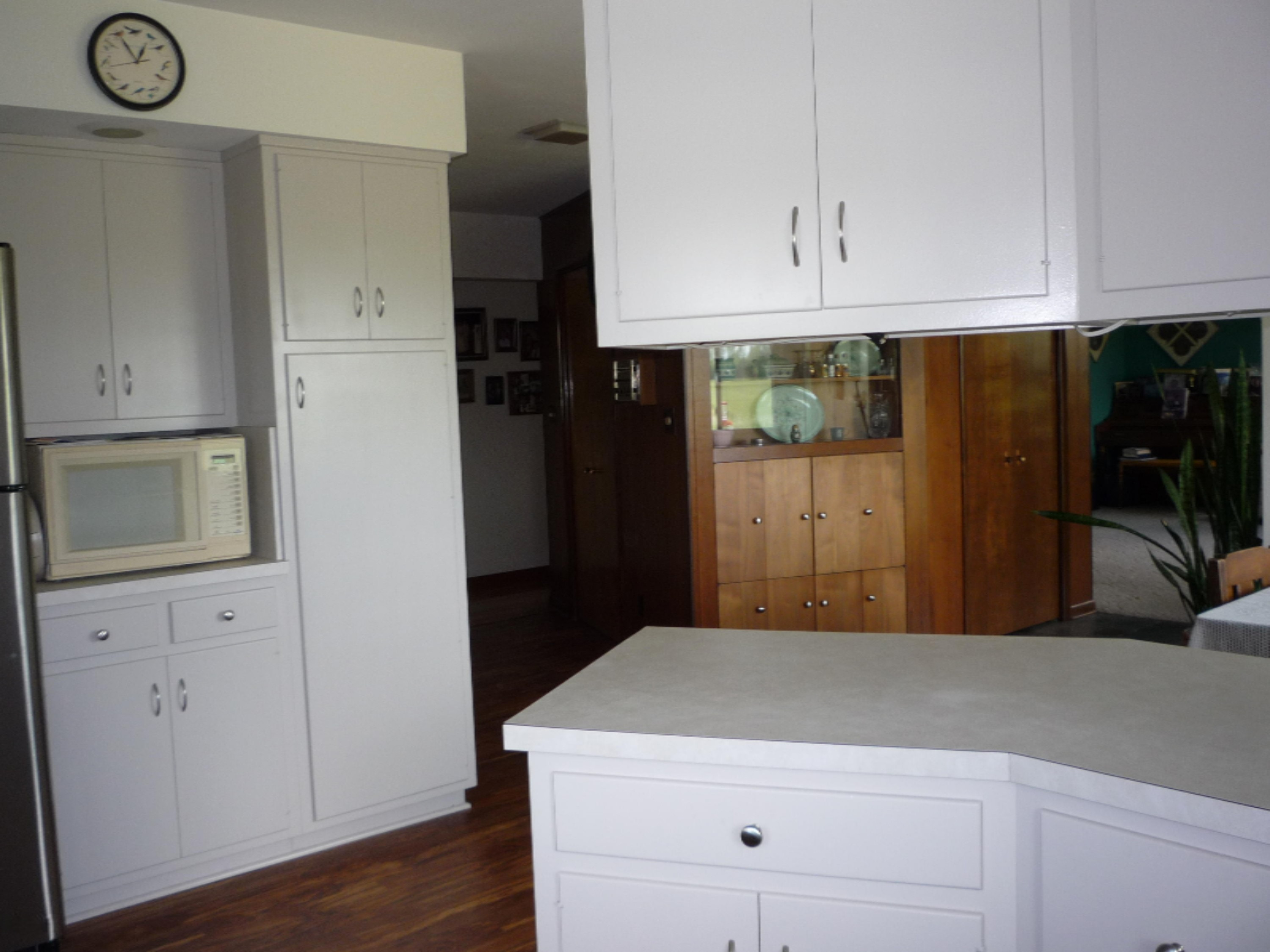 854 Dewsenberry Road Bronson, MI 49028 - Photo 9 of 92 P1020397