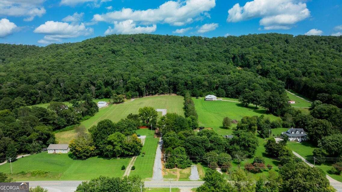 0 Alabama Highway Ringgold, GA 30736 - Photo 7 of 8 a view of a garden with a building in the background