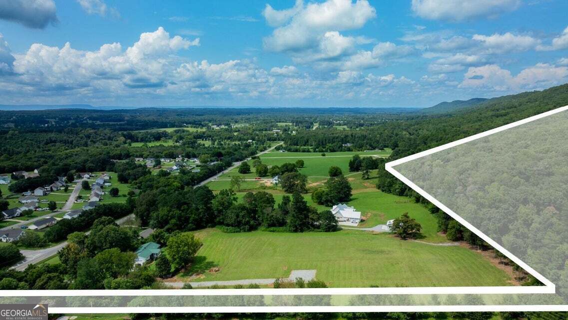 0 Alabama Highway Ringgold, GA 30736 - Photo 8 of 8 a view of a back yard