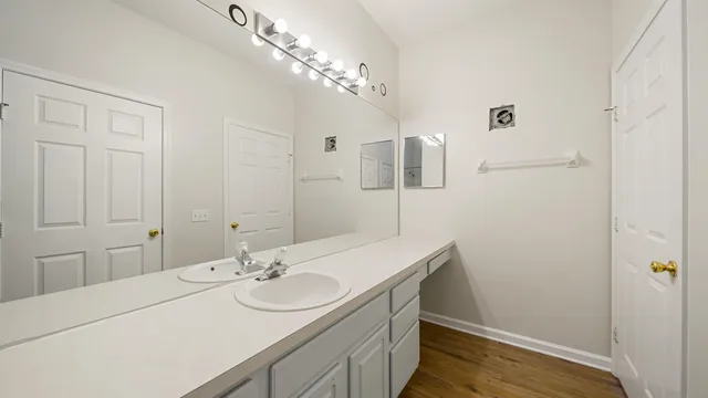 a bathroom with a sink and a mirror