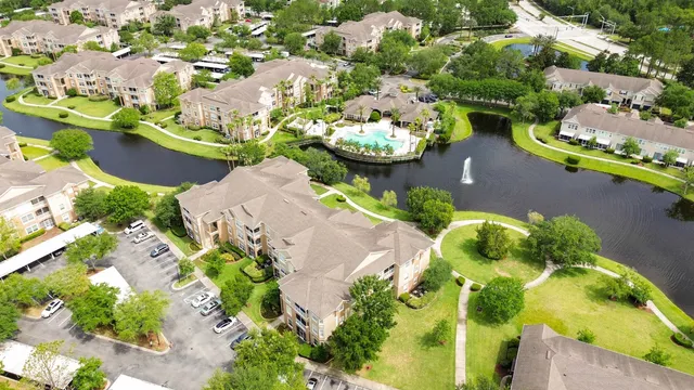 a view of a bunch of flowers in a lot