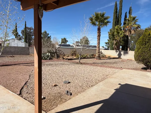 a view of a terrace with a palm tree