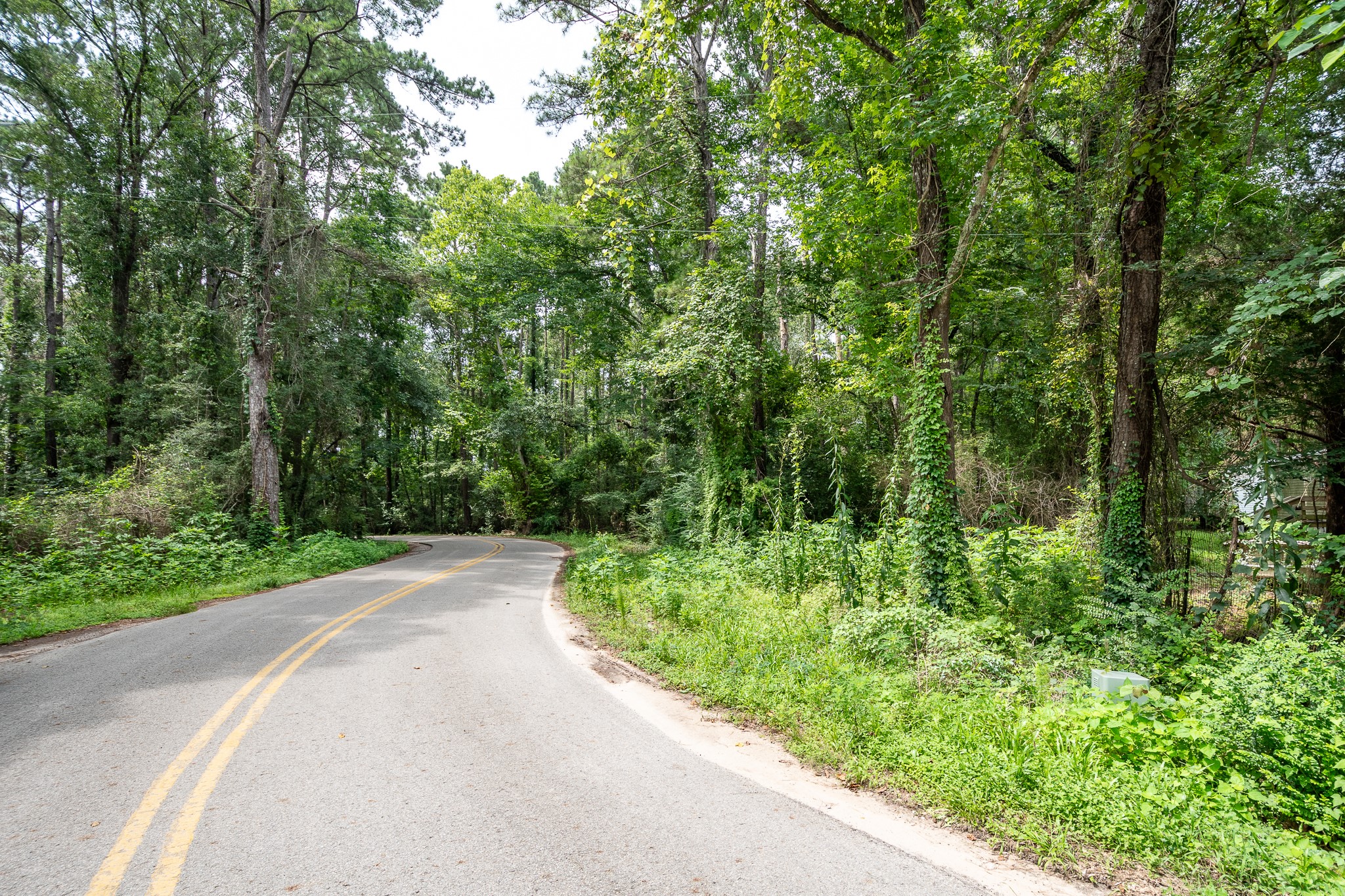 20765 Sullivan Road New Caney, TX 77357 - Photo 4 of 9