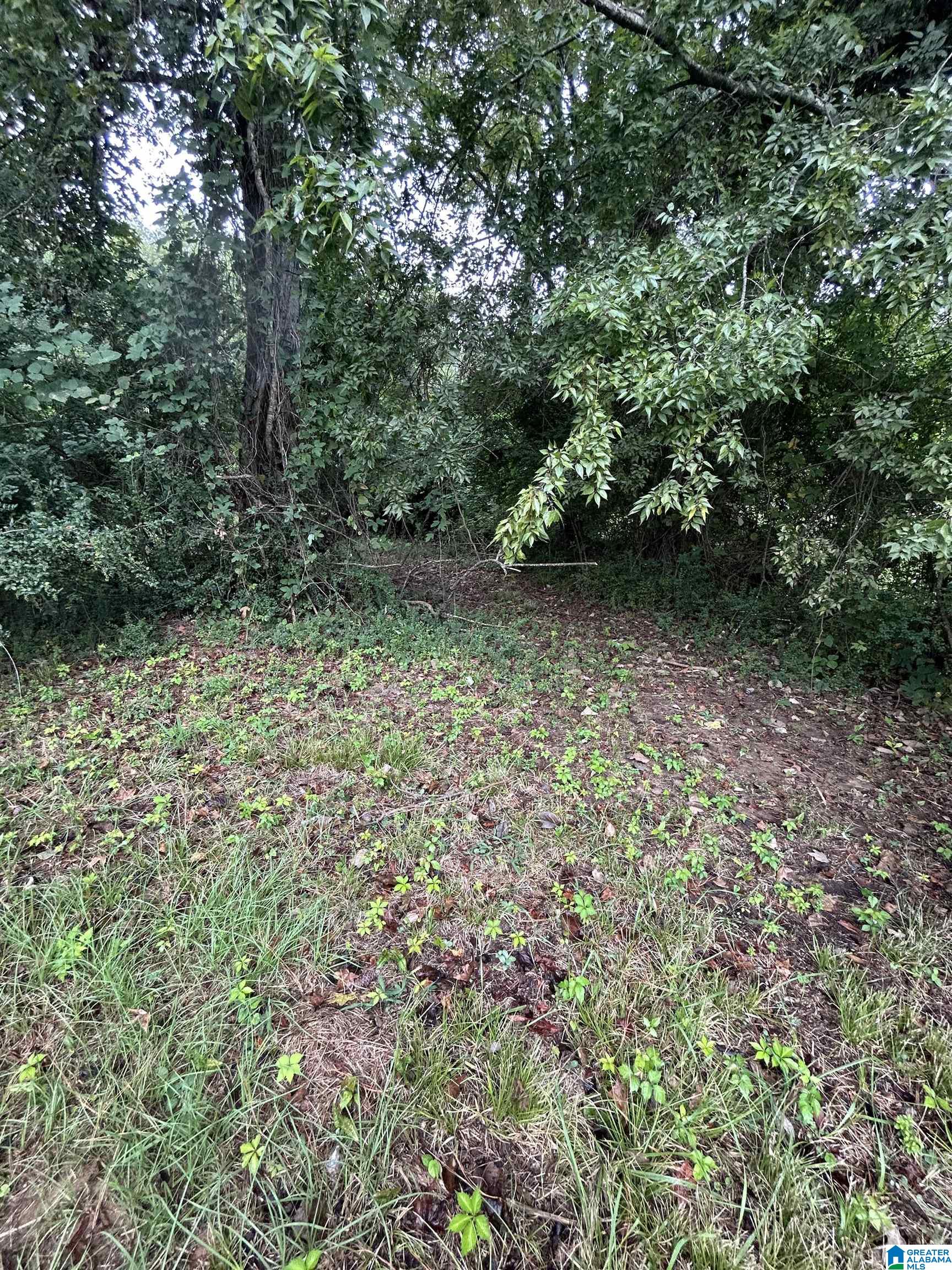 10857 Highway 17, Unit 2 ALABASTER MUN OF R2 Montevallo, AL 35115 - Photo 5 of 8