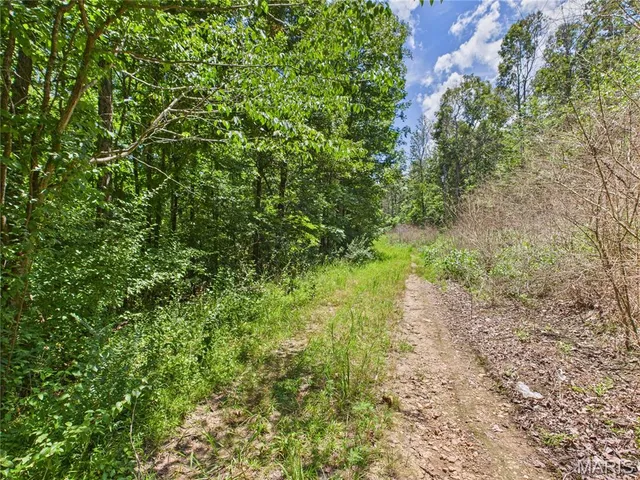 $8,500 | Lot 142 Crestwood Drive, Wappapello, MO 63966