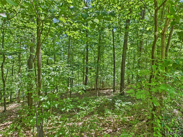 $8,500 | Lot 142 Crestwood Drive, Wappapello, MO 63966
