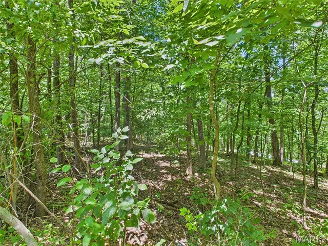 $8,500 | Lot 142 Crestwood Drive, Wappapello, MO 63966