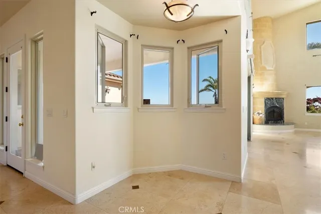 a view of a yard with plants and trees