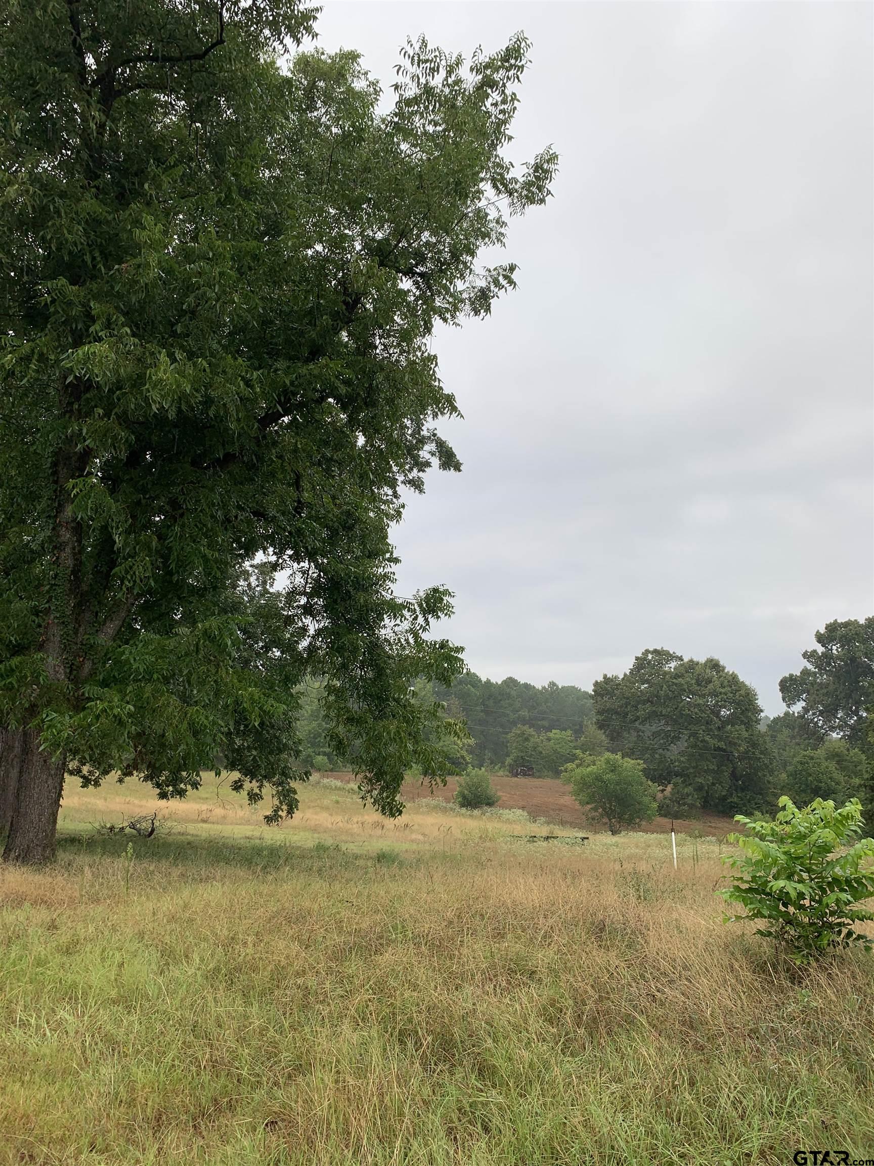 502 County Road 3264 Quitman, TX 75783 - Photo 11 of 37 a view of mountain with lake view