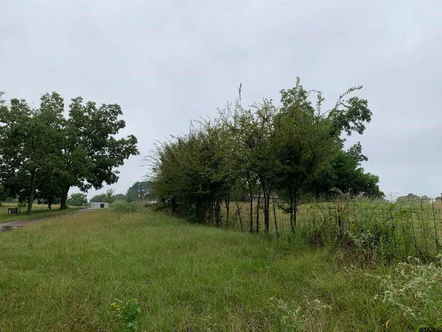 $300,000 | 502 County Road 3264, Quitman, TX 75783