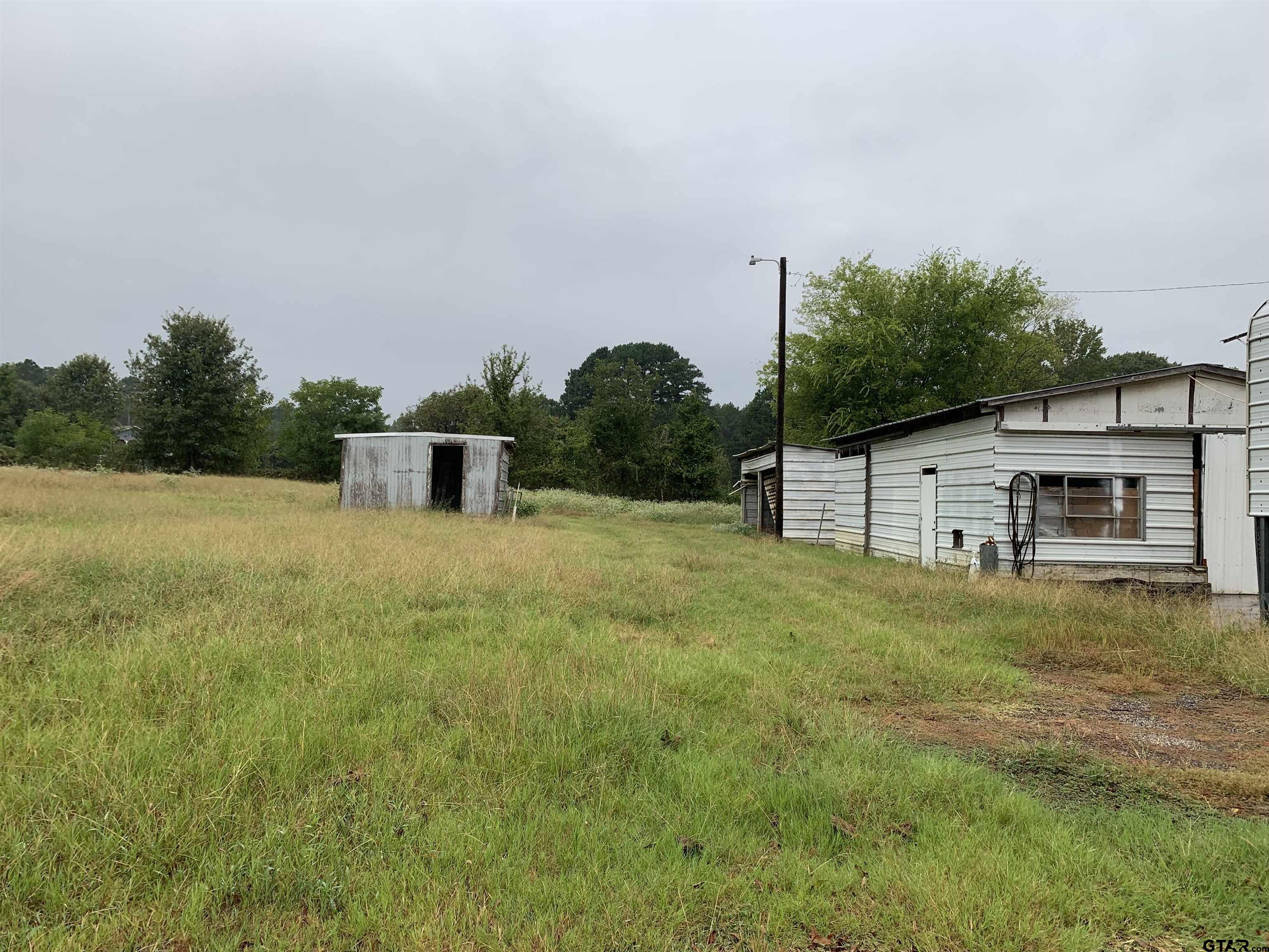 502 County Road 3264 Quitman, TX 75783 - Photo 5 of 37 a backyard of a house with lots of green space and plants