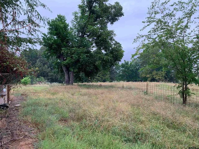 a view of backyard with tree