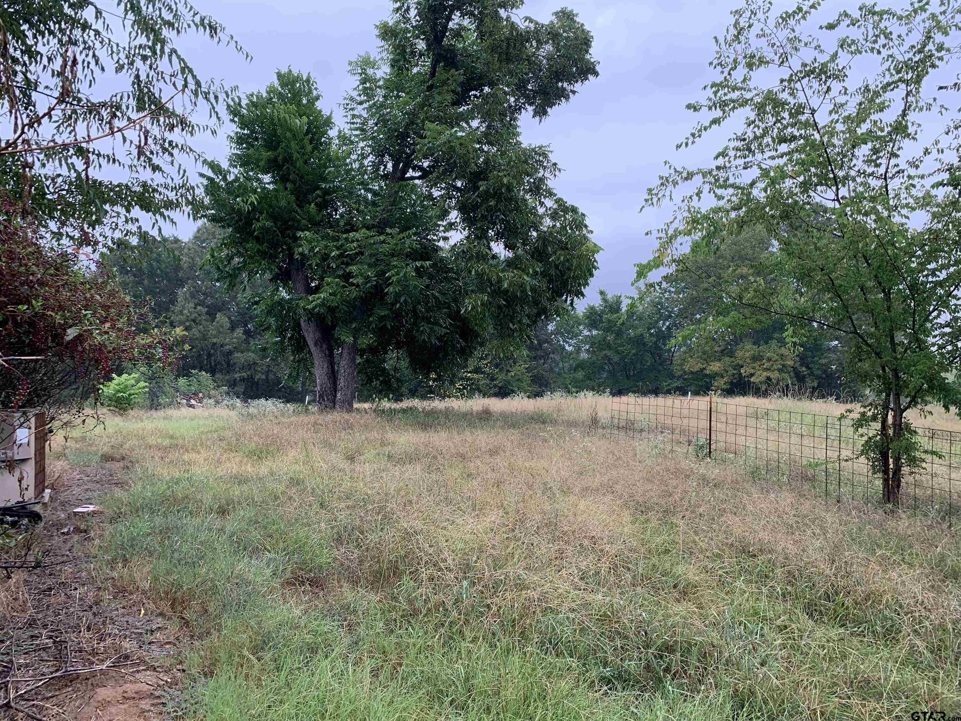 502 County Road 3264 Quitman, TX 75783 - Photo 7 of 37 a view of backyard with tree