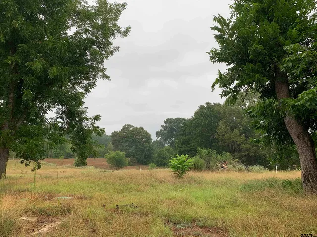 a view of a yard with an trees