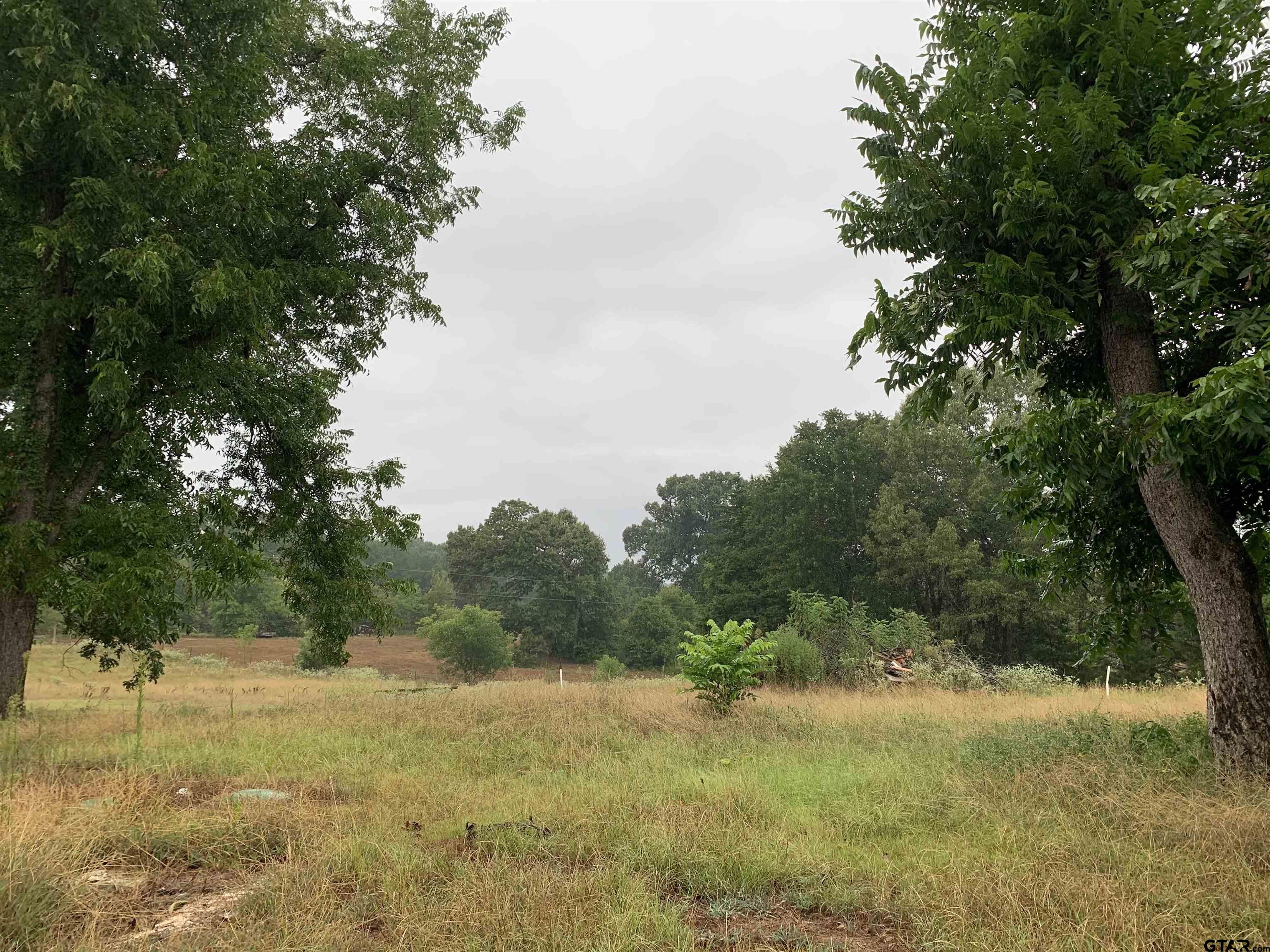 502 County Road 3264 Quitman, TX 75783 - Photo 8 of 37 a view of a yard with an trees