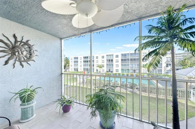 a potted plant sitting in front of a glass door