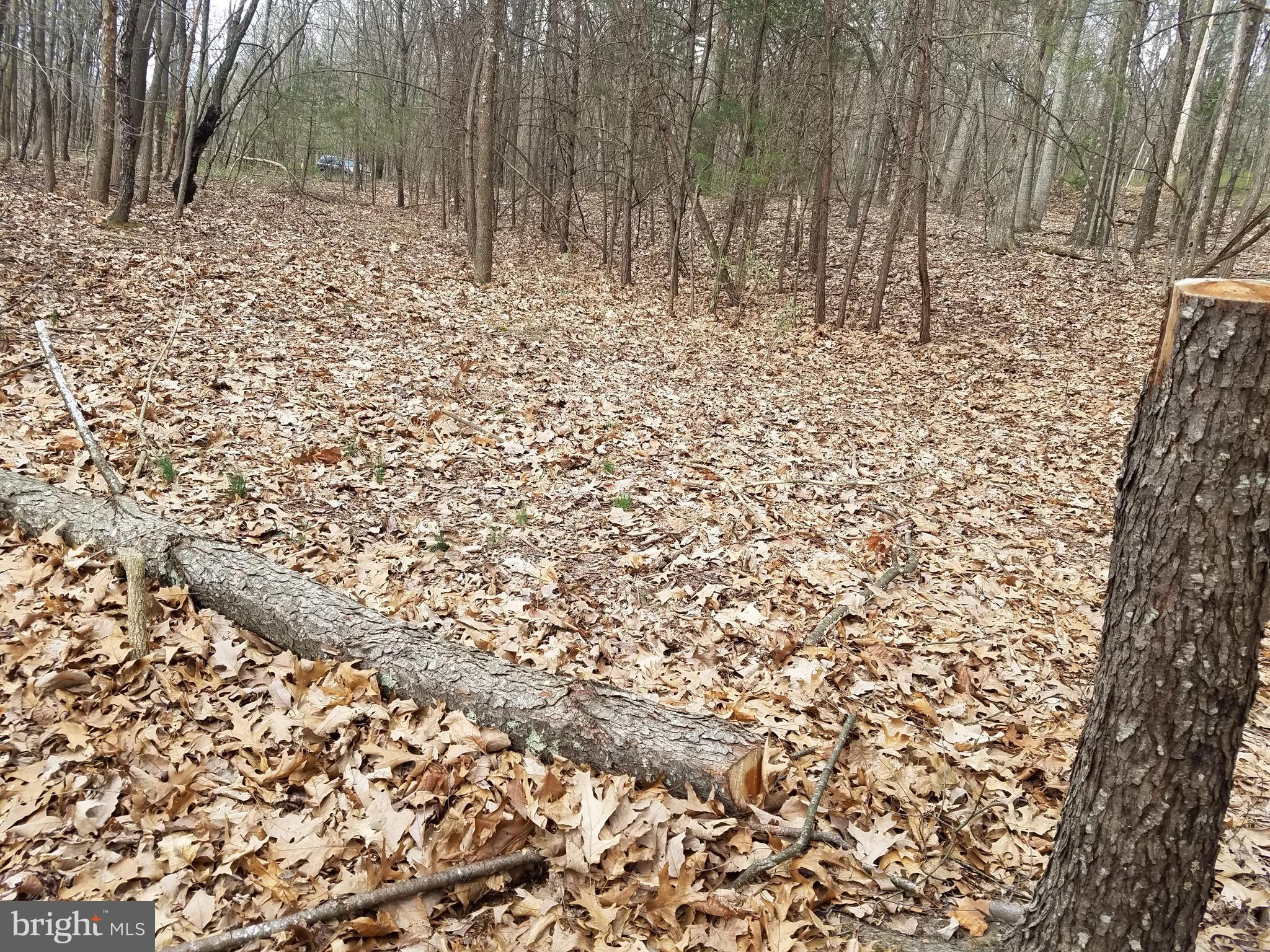 27 Anderson Ridge Wardensville, WV 26851 - Photo 1 of 21