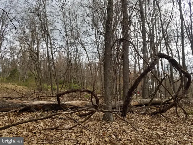 $14,800 | 27 Anderson Ridge, Wardensville, WV 26851