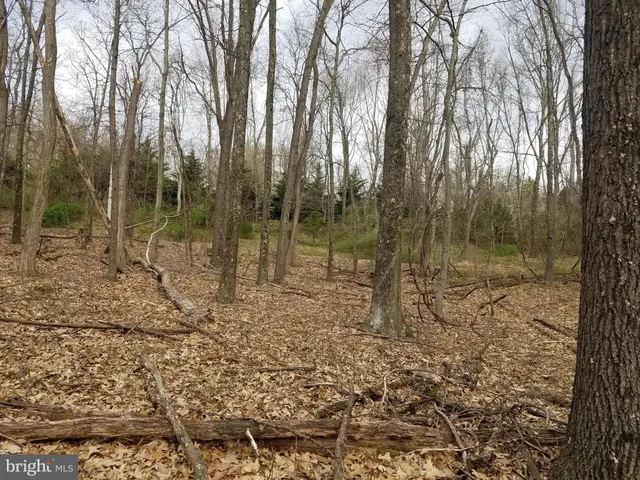 $14,800 | 27 Anderson Ridge, Wardensville, WV 26851