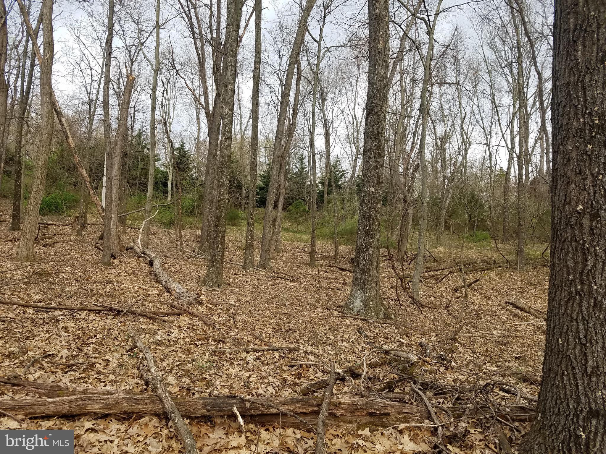 27 Anderson Ridge Wardensville, WV 26851 - Photo 12 of 21