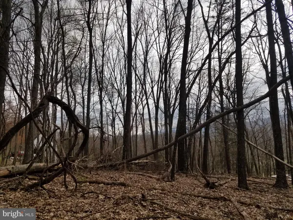 $14,800 | 27 Anderson Ridge, Wardensville, WV 26851