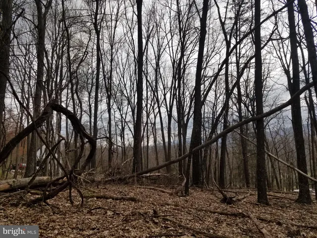 $14,800 | 27 Anderson Ridge, Wardensville, WV 26851