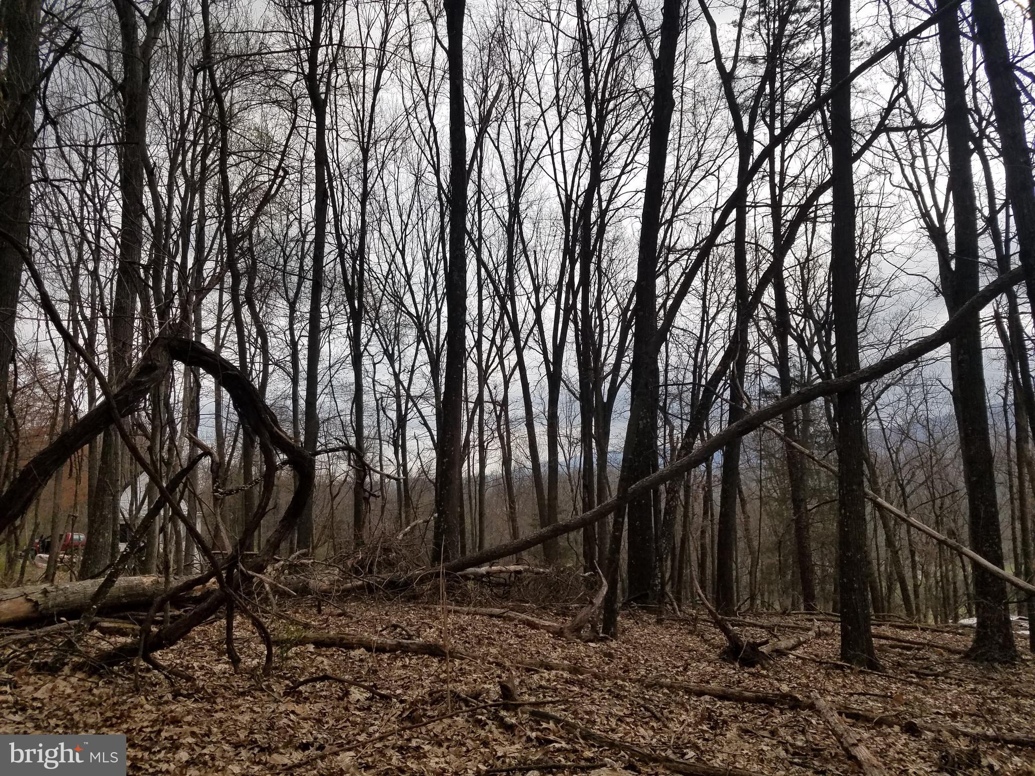 27 Anderson Ridge Wardensville, WV 26851 - Photo 14 of 21