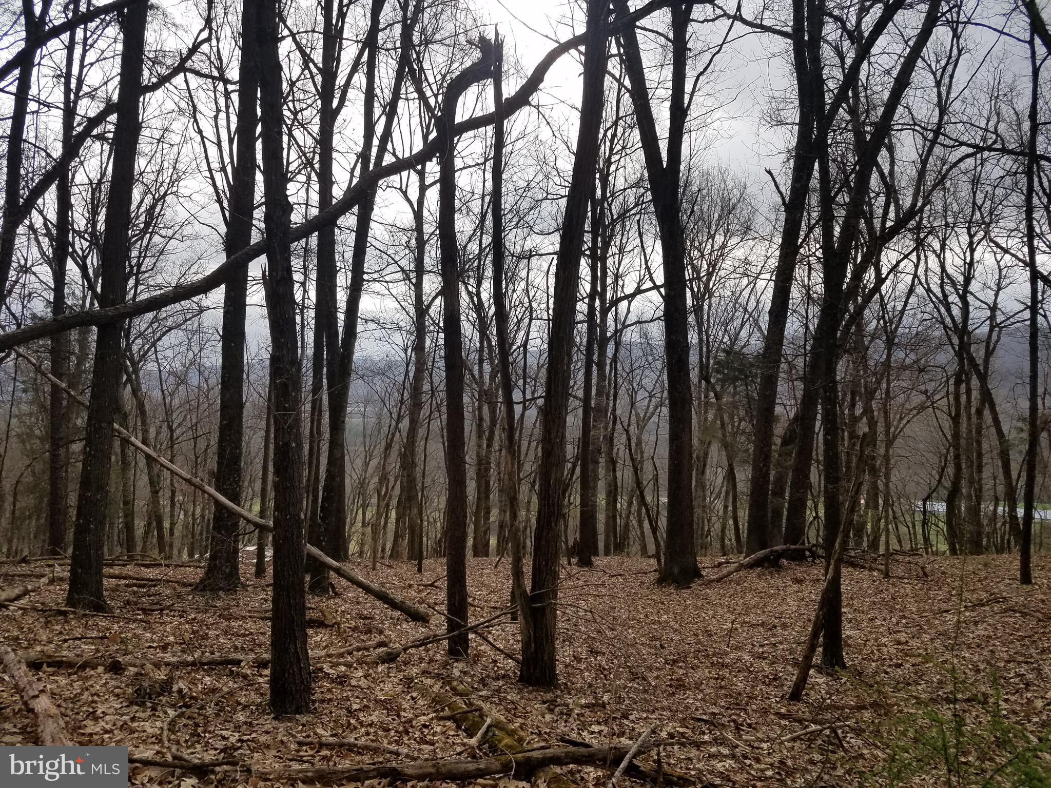 27 Anderson Ridge Wardensville, WV 26851 - Photo 16 of 21