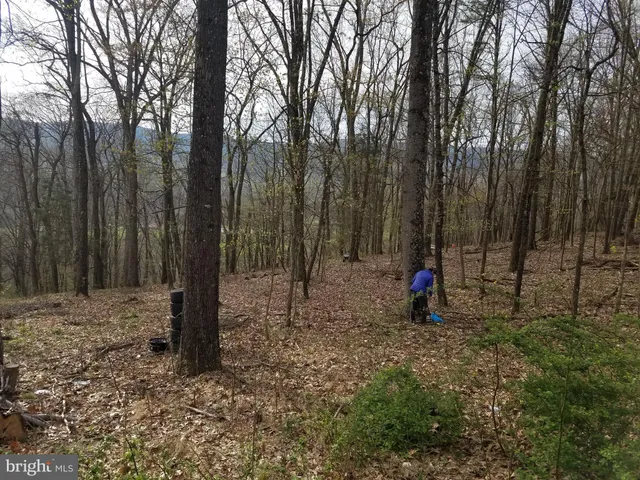 $14,800 | 27 Anderson Ridge, Wardensville, WV 26851