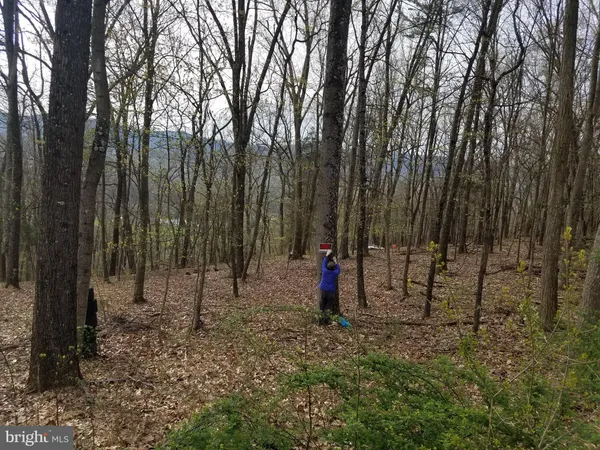 $14,800 | 27 Anderson Ridge, Wardensville, WV 26851