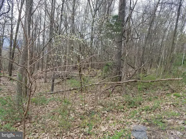 $14,800 | 27 Anderson Ridge, Wardensville, WV 26851