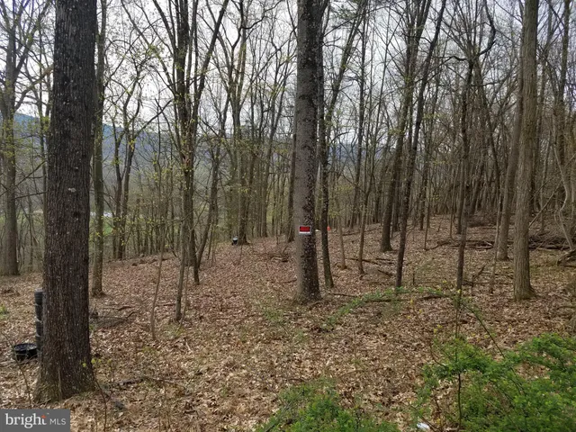 $14,800 | 27 Anderson Ridge, Wardensville, WV 26851