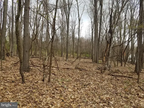 $14,800 | 27 Anderson Ridge, Wardensville, WV 26851