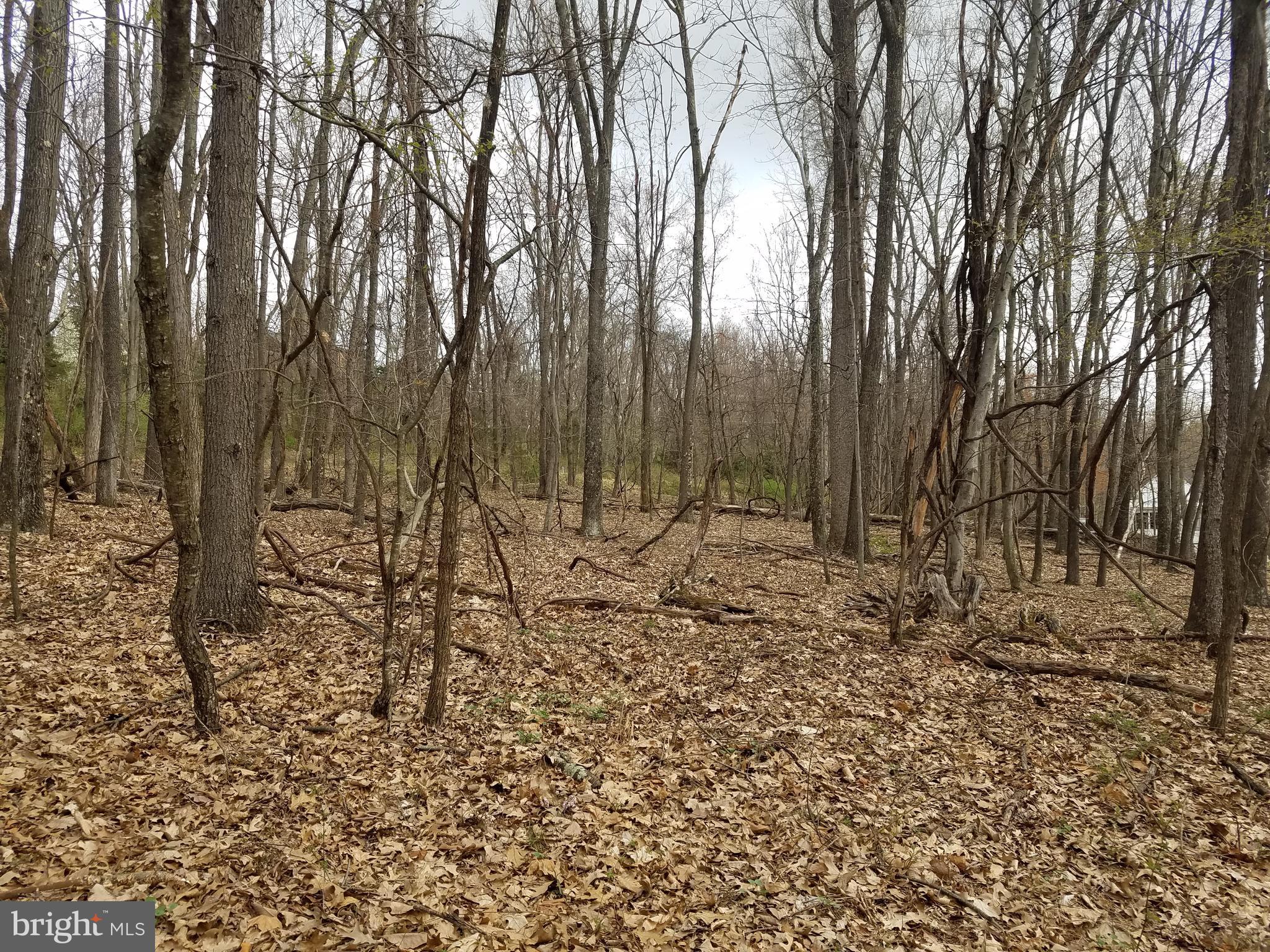 27 Anderson Ridge Wardensville, WV 26851 - Photo 2 of 21