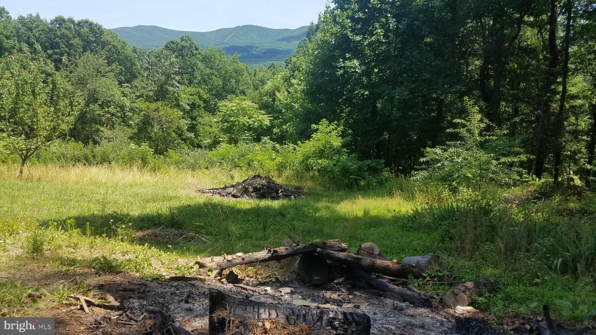 27 Anderson Ridge Wardensville, WV 26851 - Photo 21 of 21