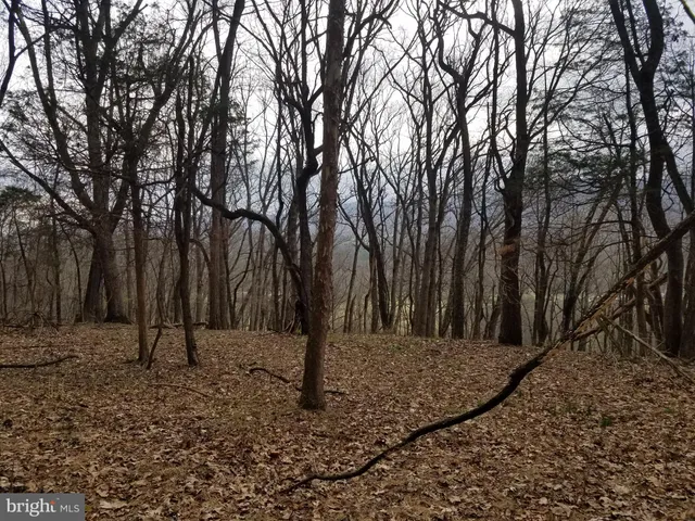 $14,800 | 27 Anderson Ridge, Wardensville, WV 26851