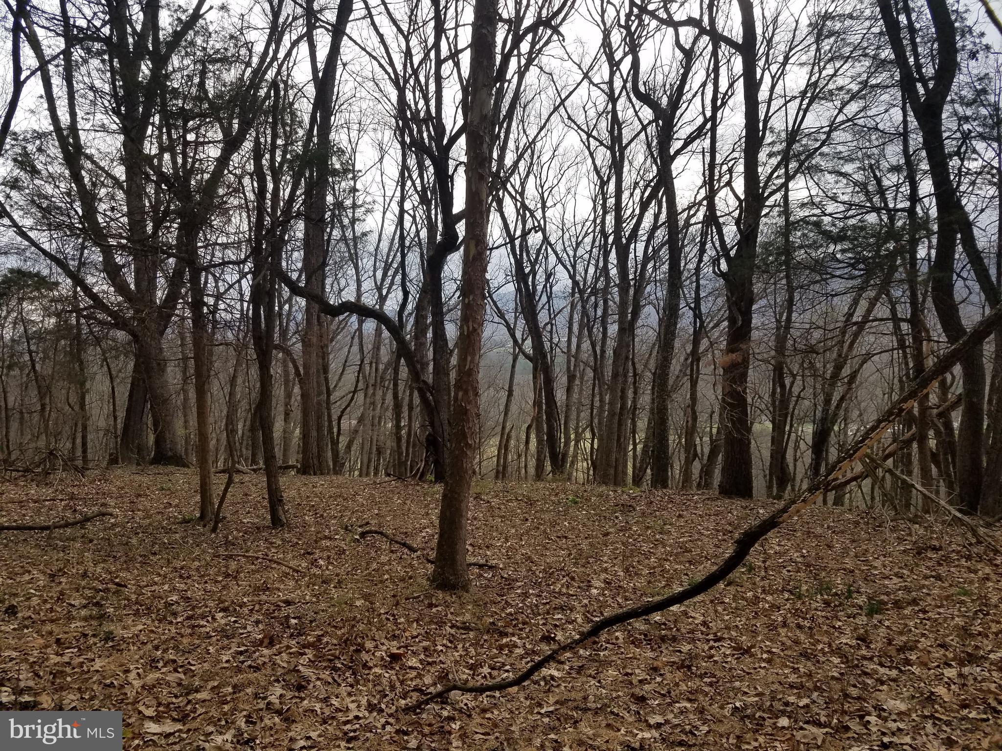 27 Anderson Ridge Wardensville, WV 26851 - Photo 3 of 21