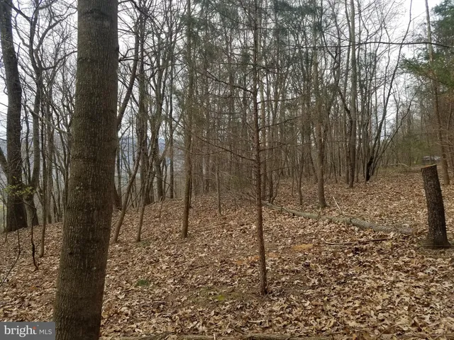 $14,800 | 27 Anderson Ridge, Wardensville, WV 26851